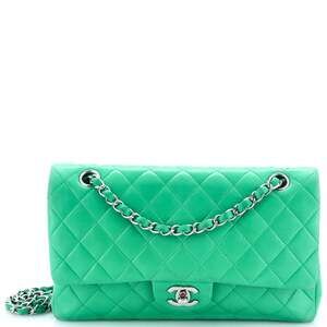 Chanel Classic Double Flap Bag Quilted #187007C73B